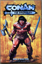 Load image into Gallery viewer, CONAN THE BARBARIAN: BOUND IN BLACK STONE TP VOL 1 CVR DAN PANOSIAN