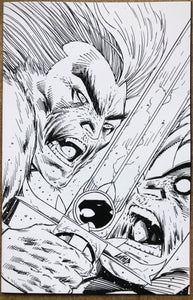 THUNDERCATS #2 CVR ZD 1:11 FOC INCV LIEFELD B&W VIRGIN